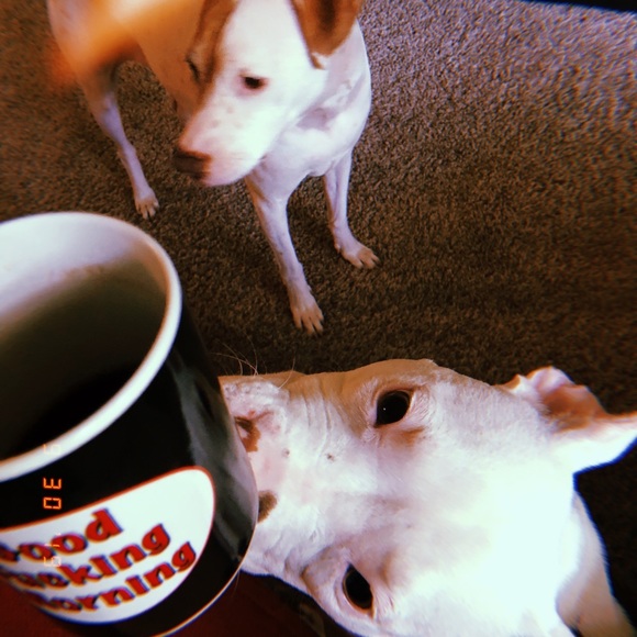 Meet your Posher, Rachel👽 - Picture 2 of 7